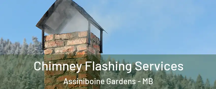  Chimney Flashing Services Assiniboine Gardens - MB
