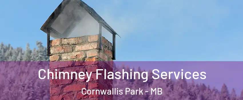  Chimney Flashing Services Cornwallis Park - MB