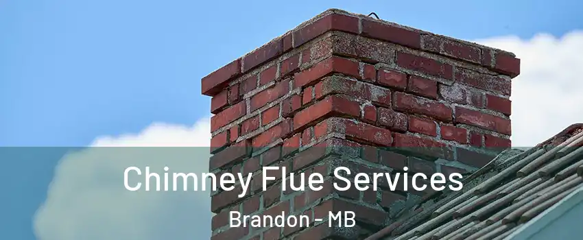  Chimney Flue Services Brandon - MB