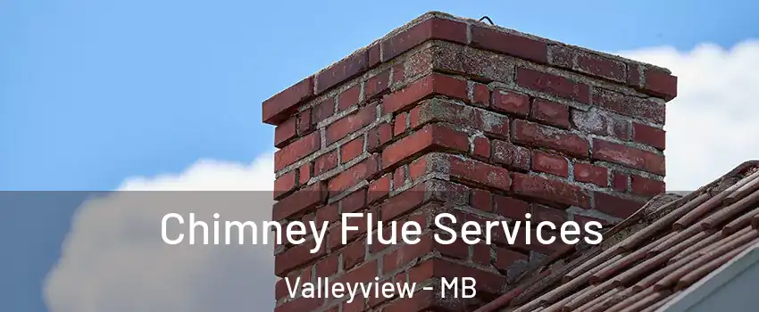  Chimney Flue Services Valleyview - MB