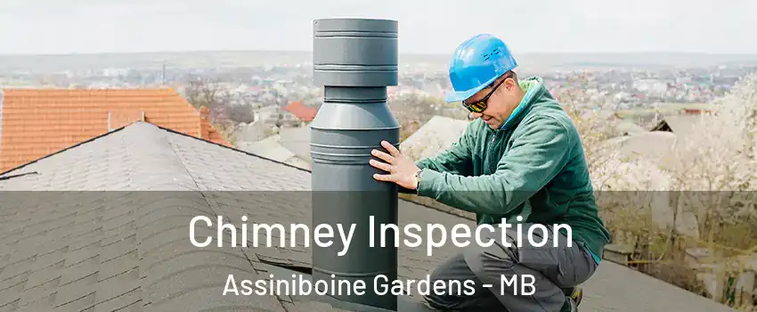  Chimney Inspection Assiniboine Gardens - MB