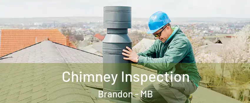 Chimney Inspection Brandon - MB