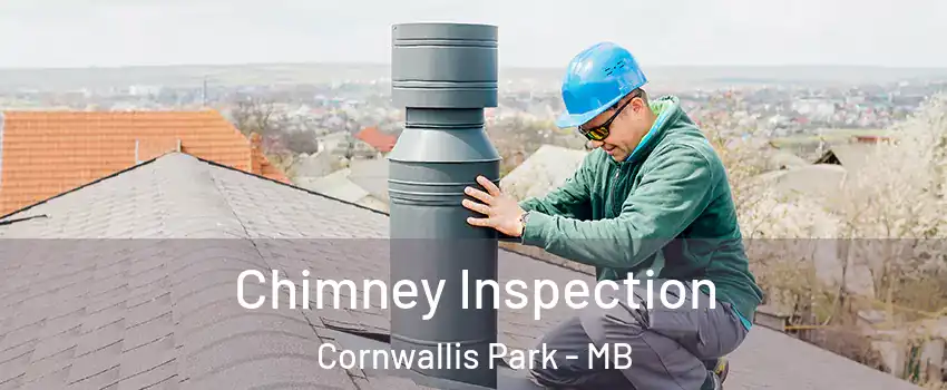  Chimney Inspection Cornwallis Park - MB