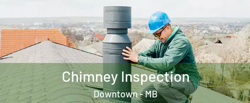  Chimney Inspection Downtown - MB