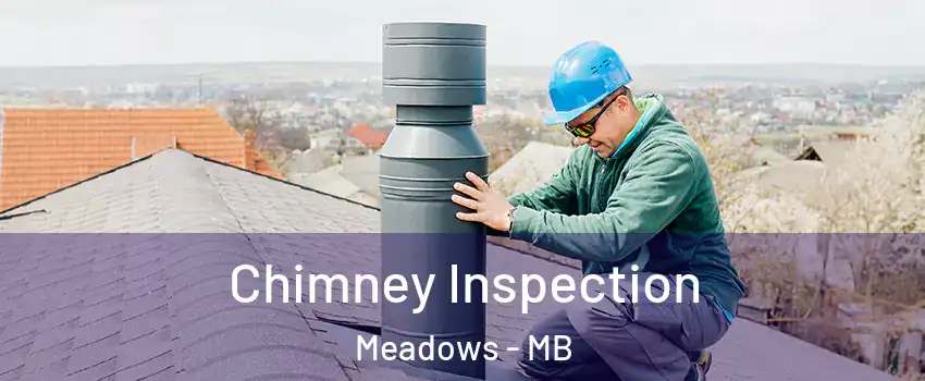  Chimney Inspection Meadows - MB