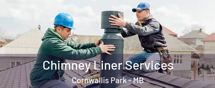 Chimney Liner Services Cornwallis Park - MB