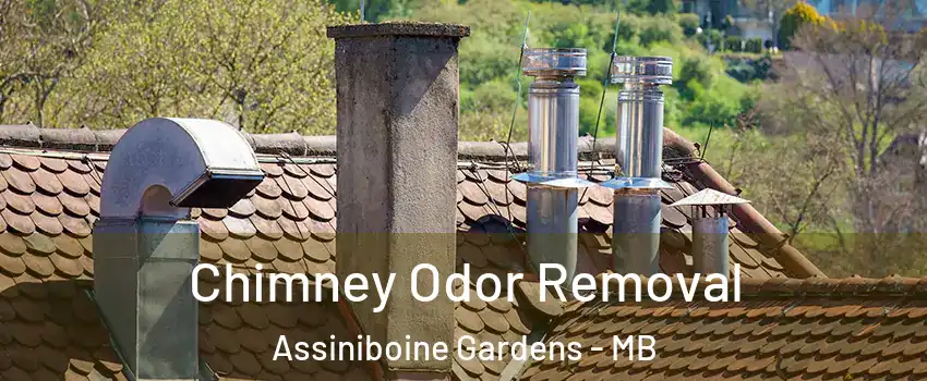  Chimney Odor Removal Assiniboine Gardens - MB