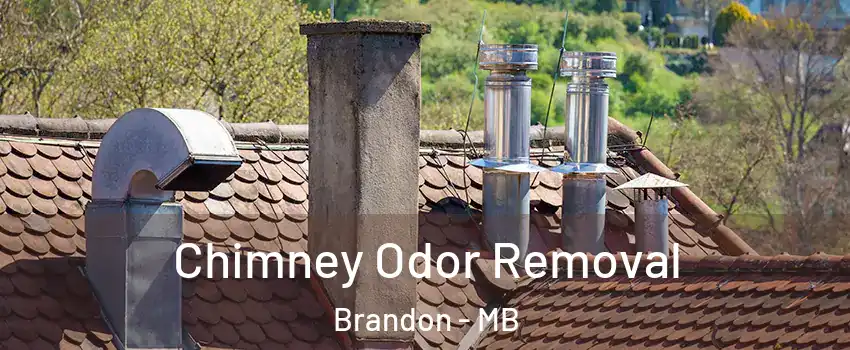  Chimney Odor Removal Brandon - MB