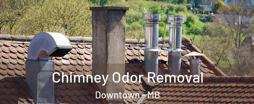  Chimney Odor Removal Downtown - MB