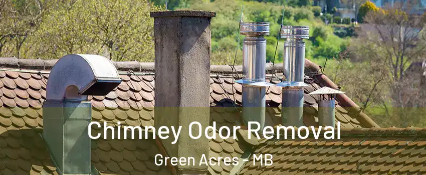  Chimney Odor Removal Green Acres - MB