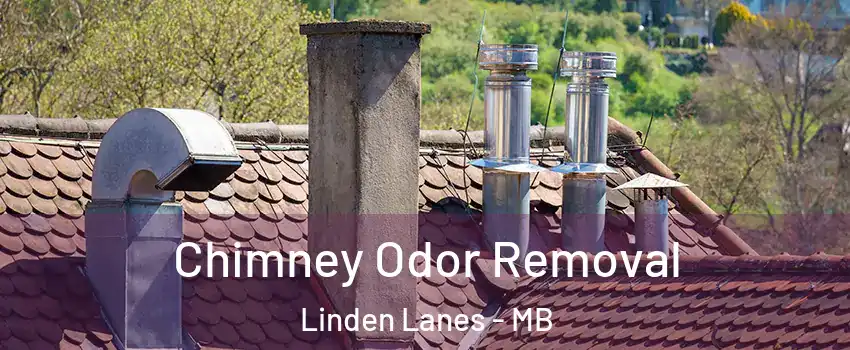  Chimney Odor Removal Linden Lanes - MB