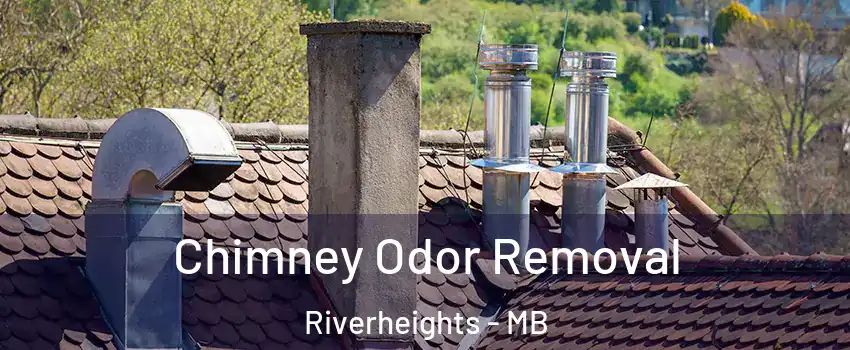  Chimney Odor Removal Riverheights - MB