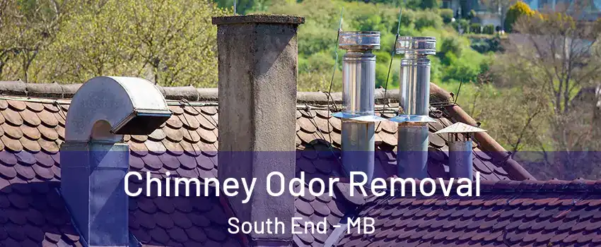  Chimney Odor Removal South End - MB