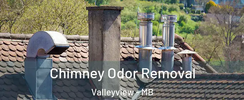  Chimney Odor Removal Valleyview - MB