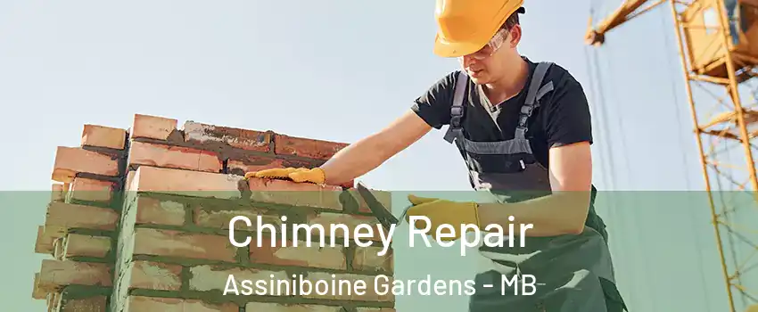  Chimney Repair Assiniboine Gardens - MB