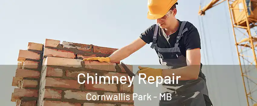  Chimney Repair Cornwallis Park - MB