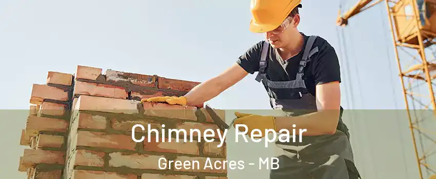  Chimney Repair Green Acres - MB