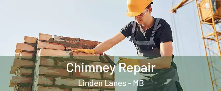 Chimney Repair Linden Lanes - MB