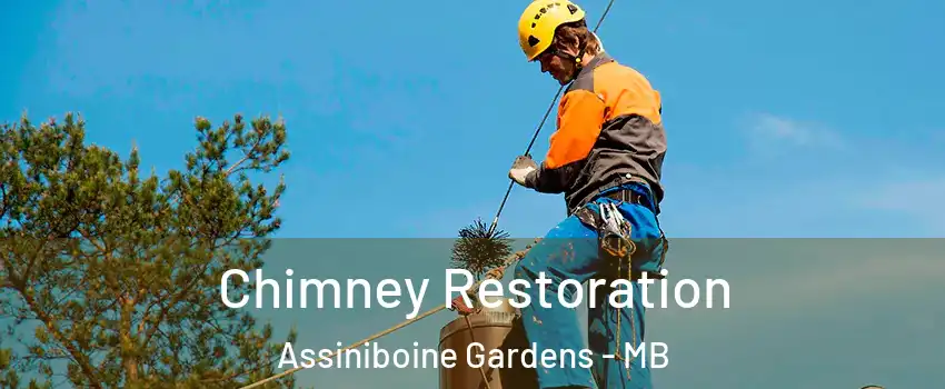  Chimney Restoration Assiniboine Gardens - MB