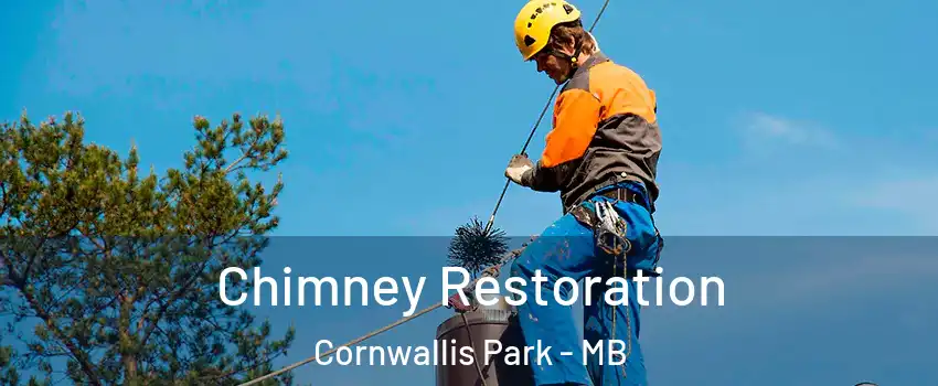  Chimney Restoration Cornwallis Park - MB