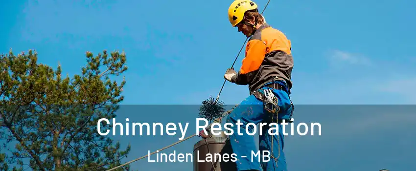  Chimney Restoration Linden Lanes - MB