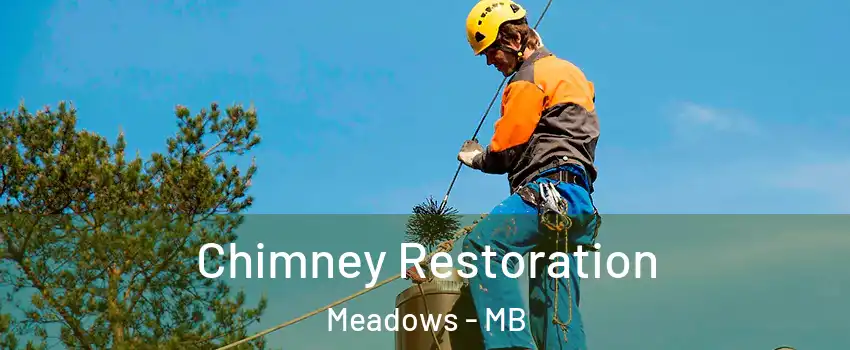  Chimney Restoration Meadows - MB