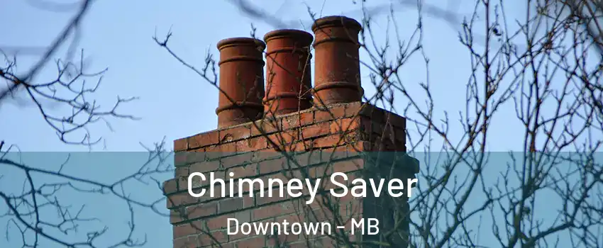  Chimney Saver Downtown - MB