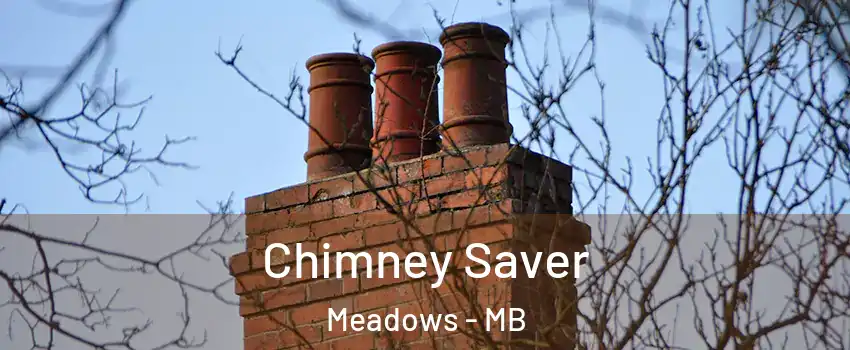  Chimney Saver Meadows - MB