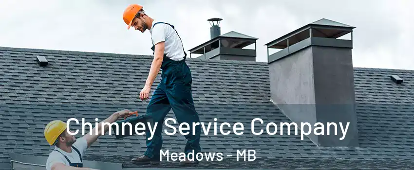  Chimney Service Company Meadows - MB