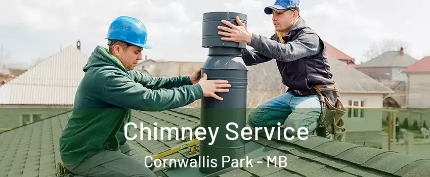  Chimney Service Cornwallis Park - MB