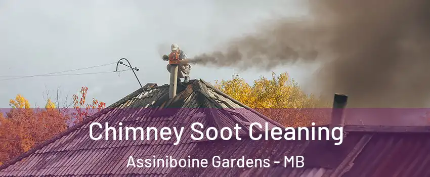  Chimney Soot Cleaning Assiniboine Gardens - MB