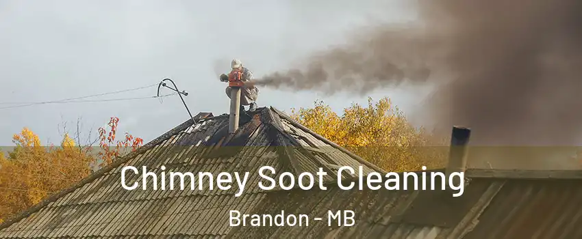  Chimney Soot Cleaning Brandon - MB