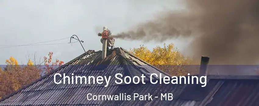  Chimney Soot Cleaning Cornwallis Park - MB