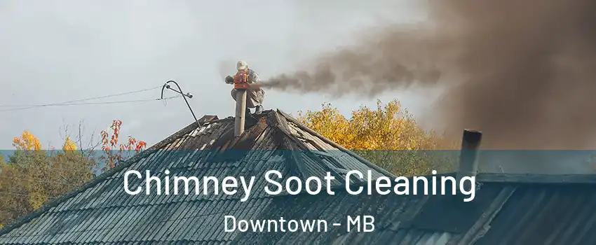  Chimney Soot Cleaning Downtown - MB