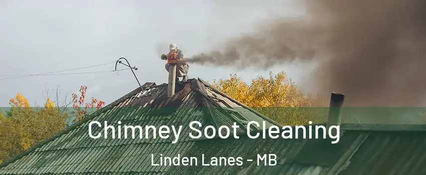  Chimney Soot Cleaning Linden Lanes - MB