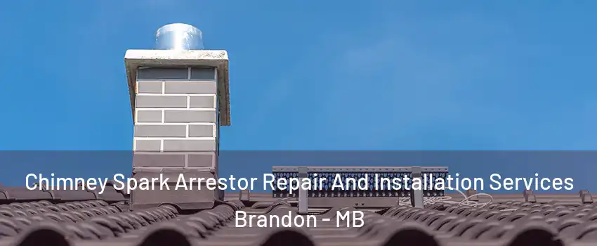  Chimney Spark Arrestor Repair And Installation Services Brandon - MB