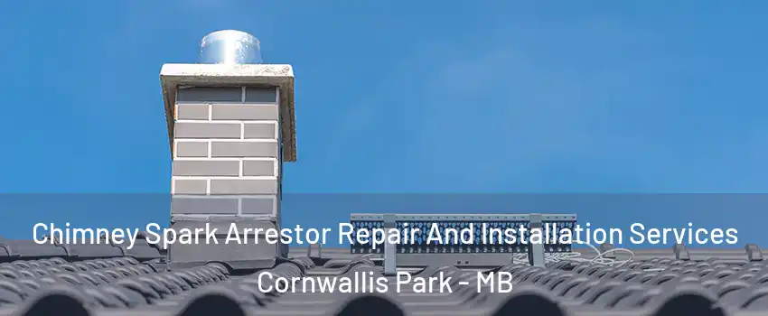  Chimney Spark Arrestor Repair And Installation Services Cornwallis Park - MB
