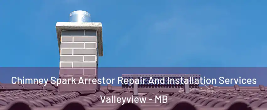  Chimney Spark Arrestor Repair And Installation Services Valleyview - MB