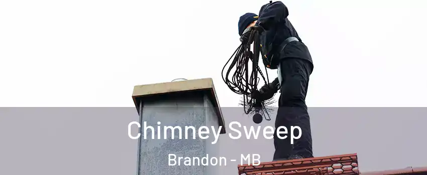  Chimney Sweep Brandon - MB