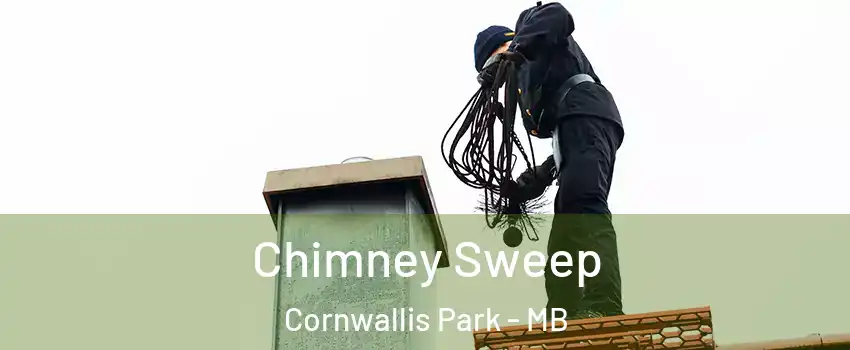 Chimney Sweep Cornwallis Park - MB