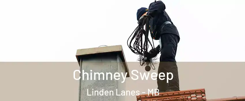  Chimney Sweep Linden Lanes - MB