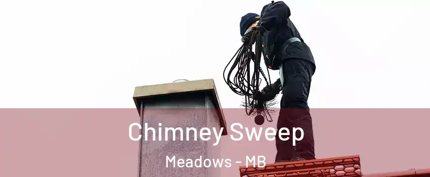 Chimney Sweep Meadows - MB