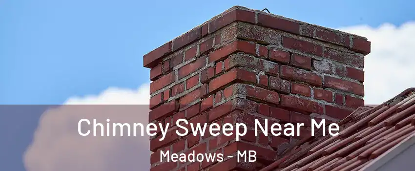  Chimney Sweep Near Me Meadows - MB