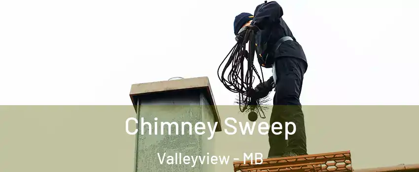  Chimney Sweep Valleyview - MB