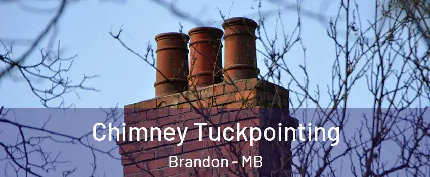  Chimney Tuckpointing Brandon - MB