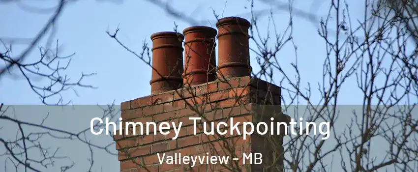  Chimney Tuckpointing Valleyview - MB