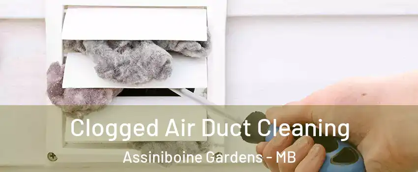  Clogged Air Duct Cleaning Assiniboine Gardens - MB