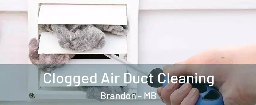  Clogged Air Duct Cleaning Brandon - MB