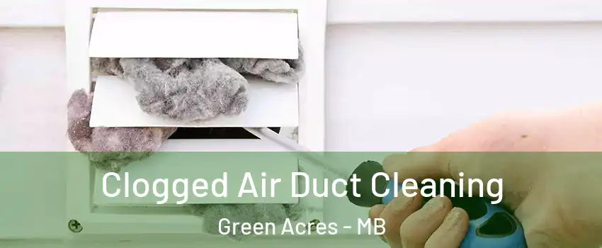 Clogged Air Duct Cleaning Green Acres - MB