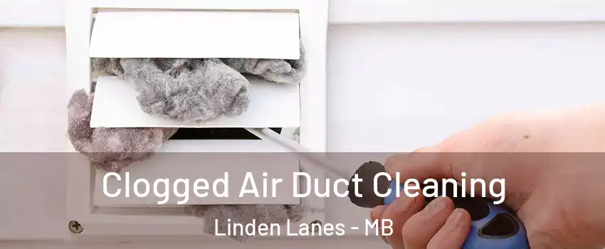  Clogged Air Duct Cleaning Linden Lanes - MB